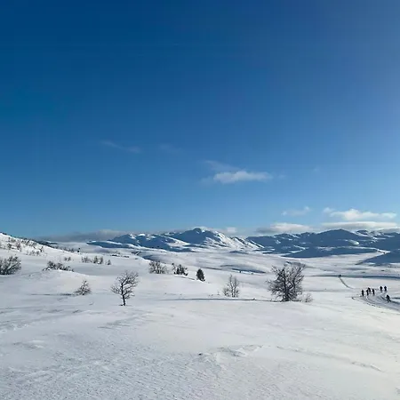 Med Stabbur Og Fjellutsikt I Holiday home