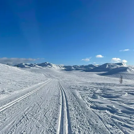 Med Stabbur Og Fjellutsikt I Holiday home Rauland
